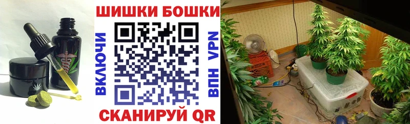 Canna-Cookies конопля  Нововоронеж 