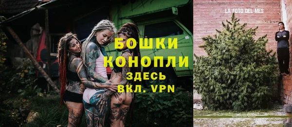 спайс Алзамай