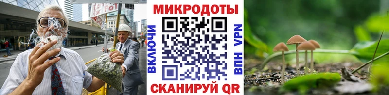 shop Telegram  Нововоронеж  Галлюциногенные грибы Psilocybe  гидра сайт 